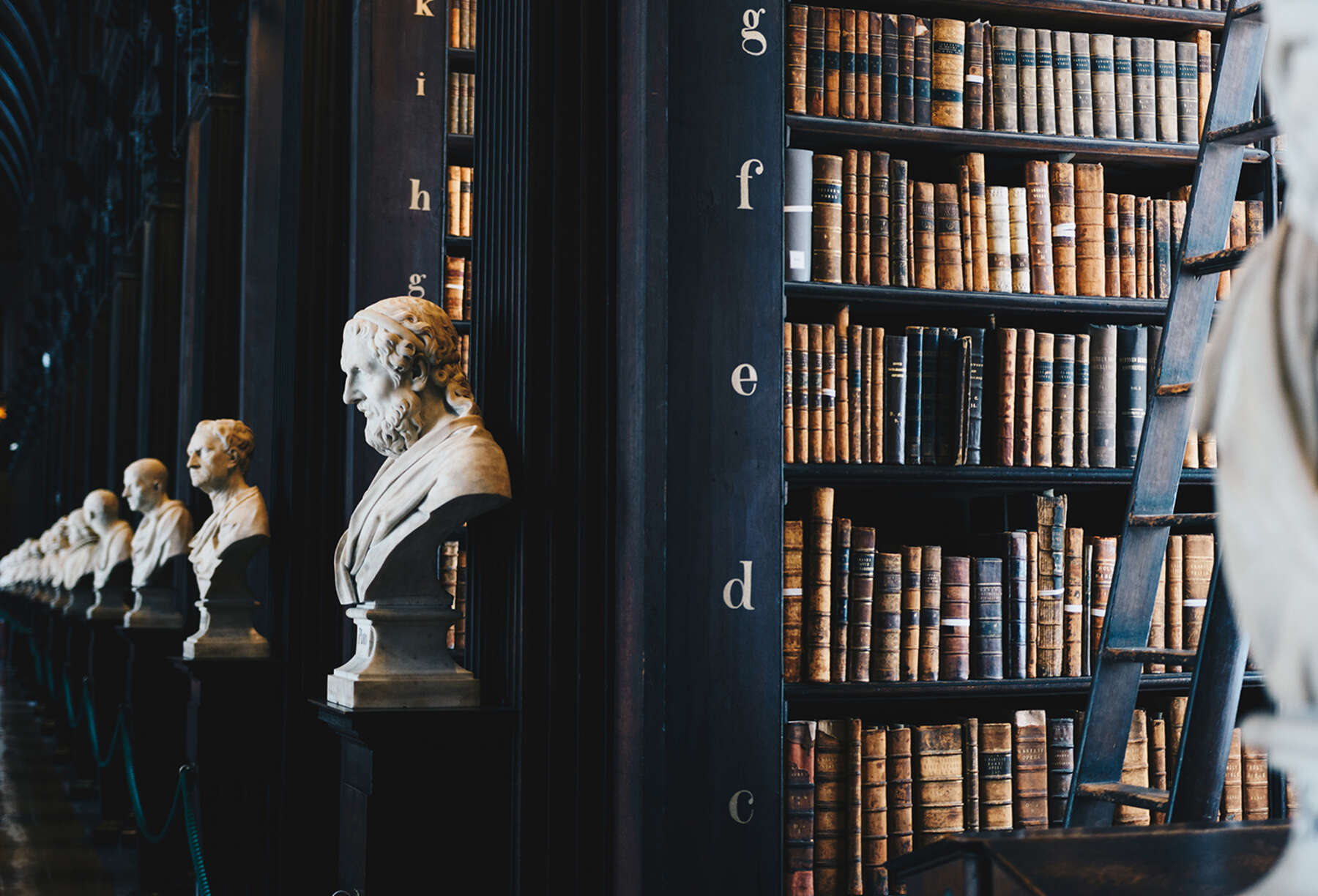 Biblioteca clásica con bustos de mármol y estantes de libros